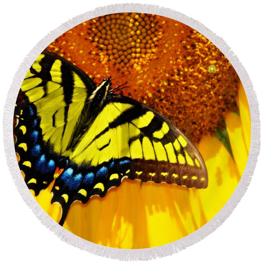 Eastern Tiger Swallow Tail Butterfly Round Beach Towel featuring the photograph Butterfly and the Sunflower by Eric Liller