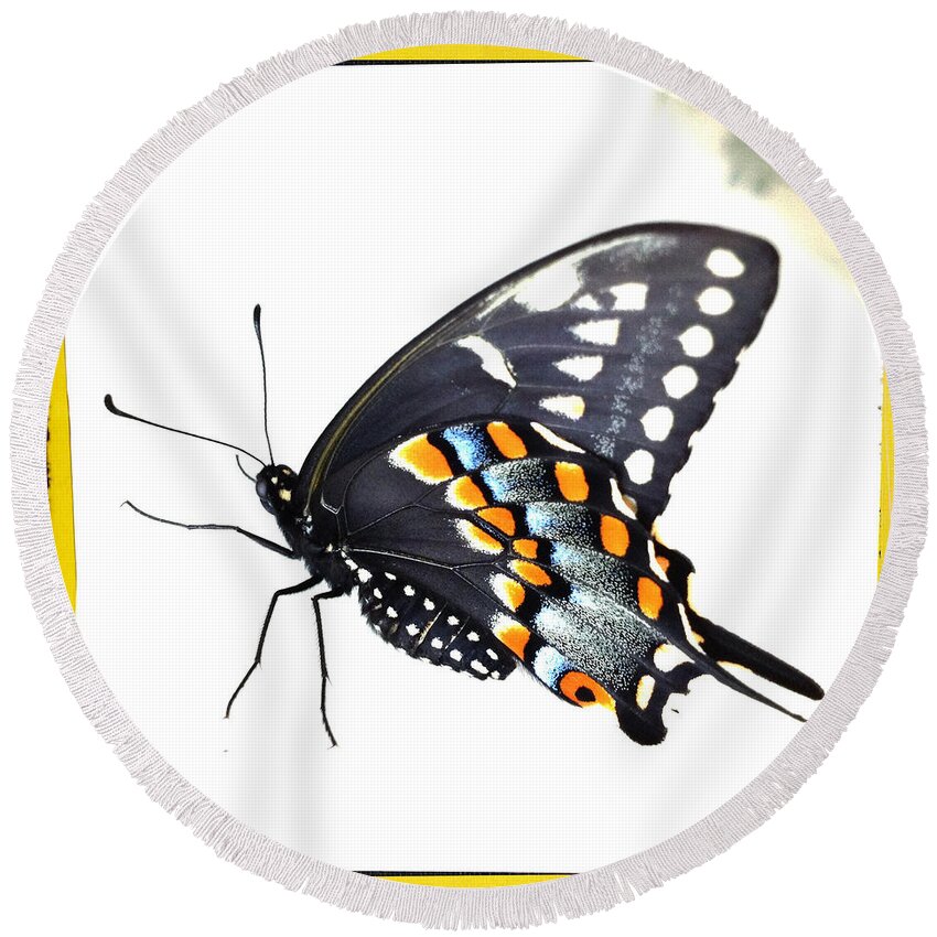 Butterfly Round Beach Towel featuring the photograph Butterfly Mellow Yellow by Dorian Hill