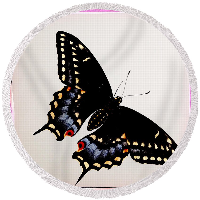 Butterfly Round Beach Towel featuring the photograph Butterfly Pink by Dorian Hill