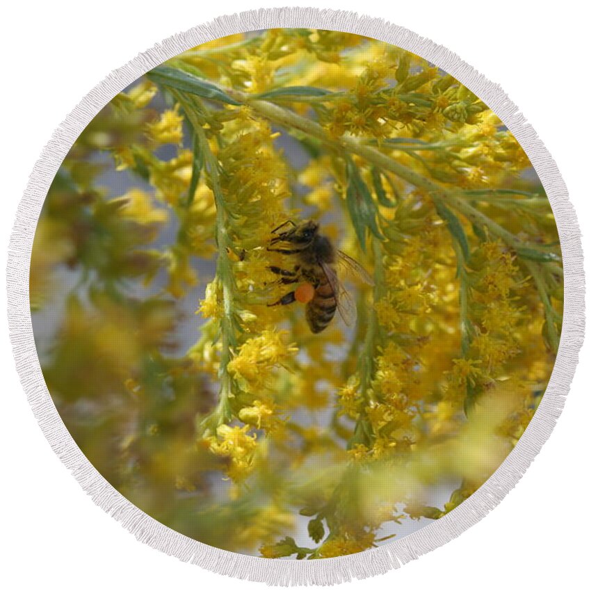 Bee Round Beach Towel featuring the photograph Visiting Bee on Goldenrod by Valerie Collins