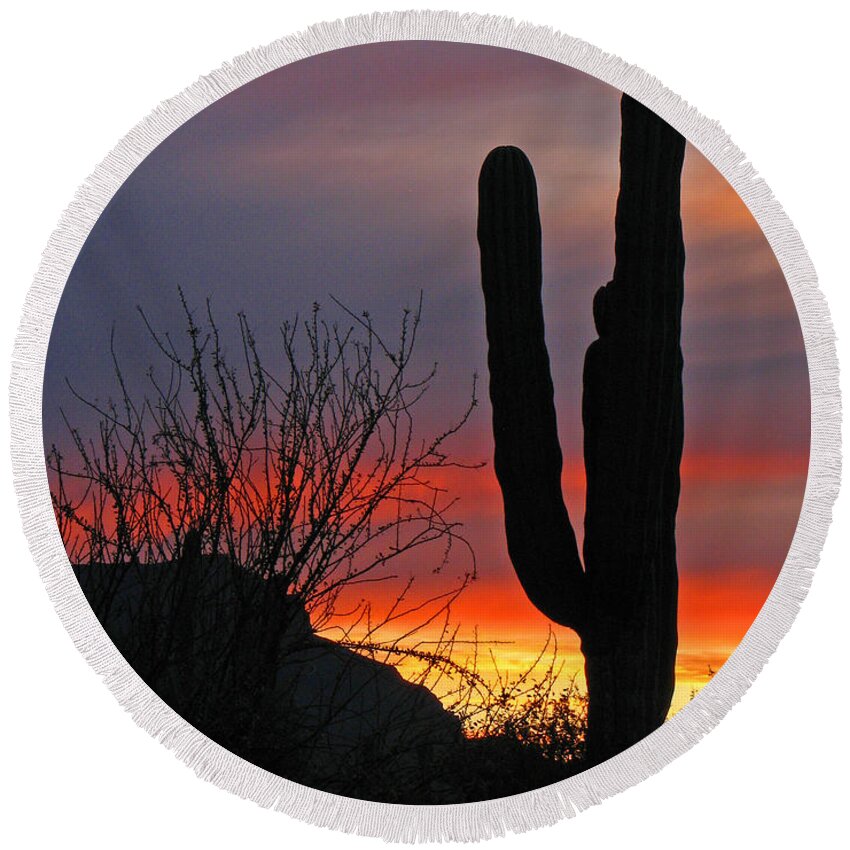 Cactus Round Beach Towel featuring the photograph Cactus at Sunset by Marcia Socolik