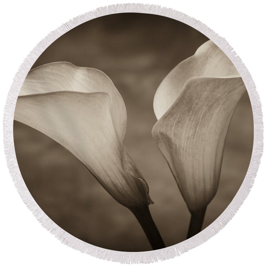 Green Round Beach Towel featuring the photograph Calla Lilies in Sepia by Sebastian Musial
