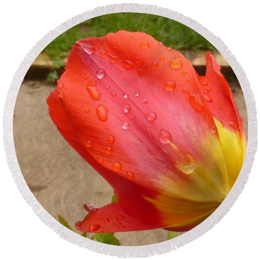 Flower Beauty Round Beach Towel featuring the photograph Calming after the rain by Lingfai Leung