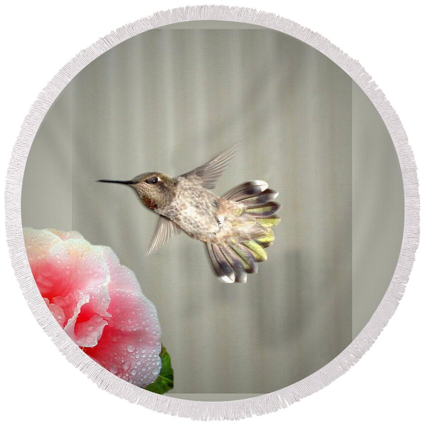Hummingbird Round Beach Towel featuring the photograph Camellia and Hummer by Joyce Dickens