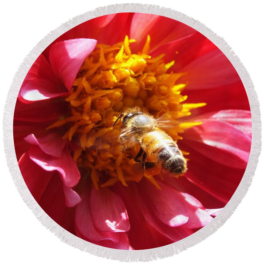 Bee Round Beach Towel featuring the photograph Can't Stop by Yenni Harrison