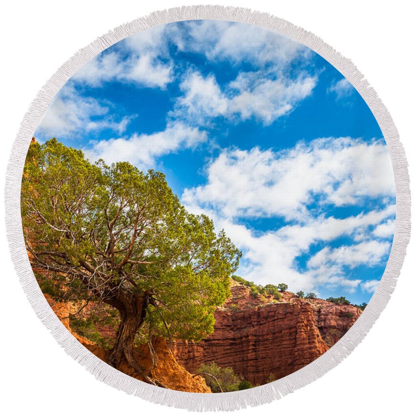 America Round Beach Towel featuring the photograph Caprock Canyon Tree by Inge Johnsson