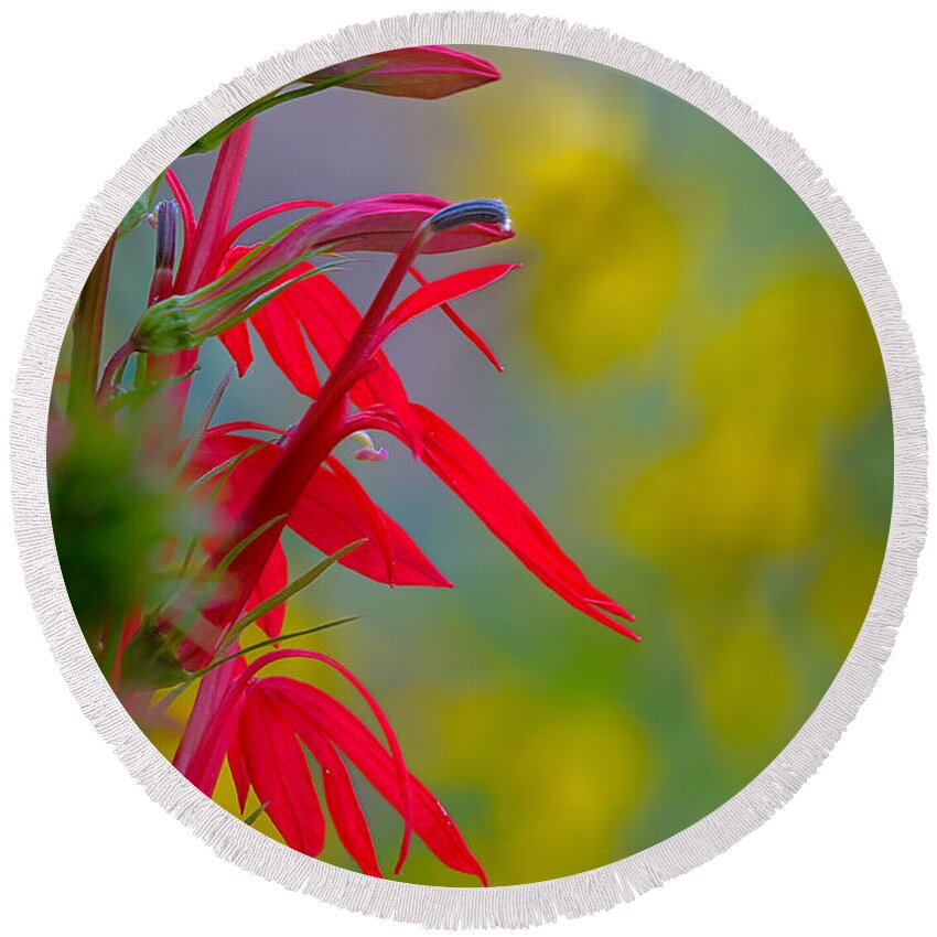 2012 Round Beach Towel featuring the photograph Cardinal Flower with Yellow Iron Weed by Robert Charity