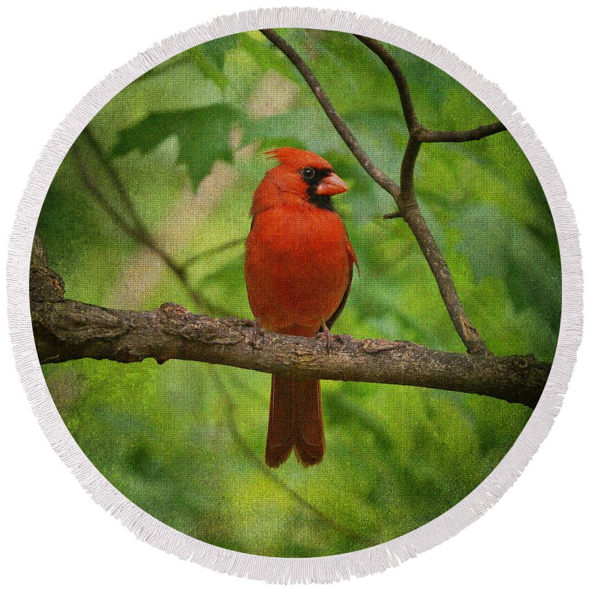 Cardinal Round Beach Towel featuring the photograph Cardinal in Spring by Sandy Keeton