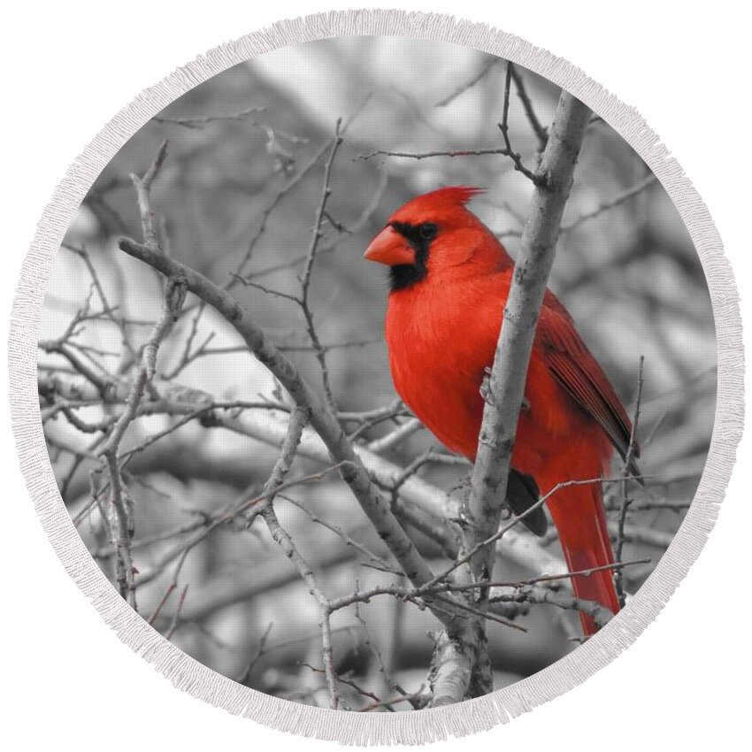 Red Cardinal Round Beach Towel featuring the photograph Cardinal of Hope 002sc by Robert ONeil