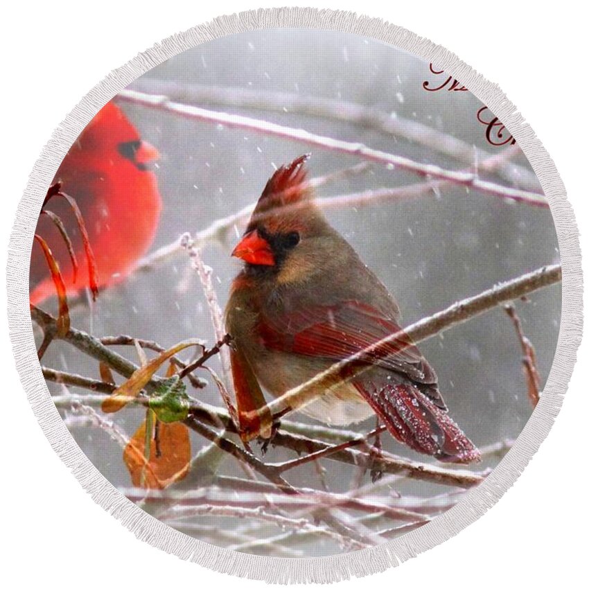 Cardinal Round Beach Towel featuring the photograph Cardinals - Male and Female - IMG_003CARD by Travis Truelove