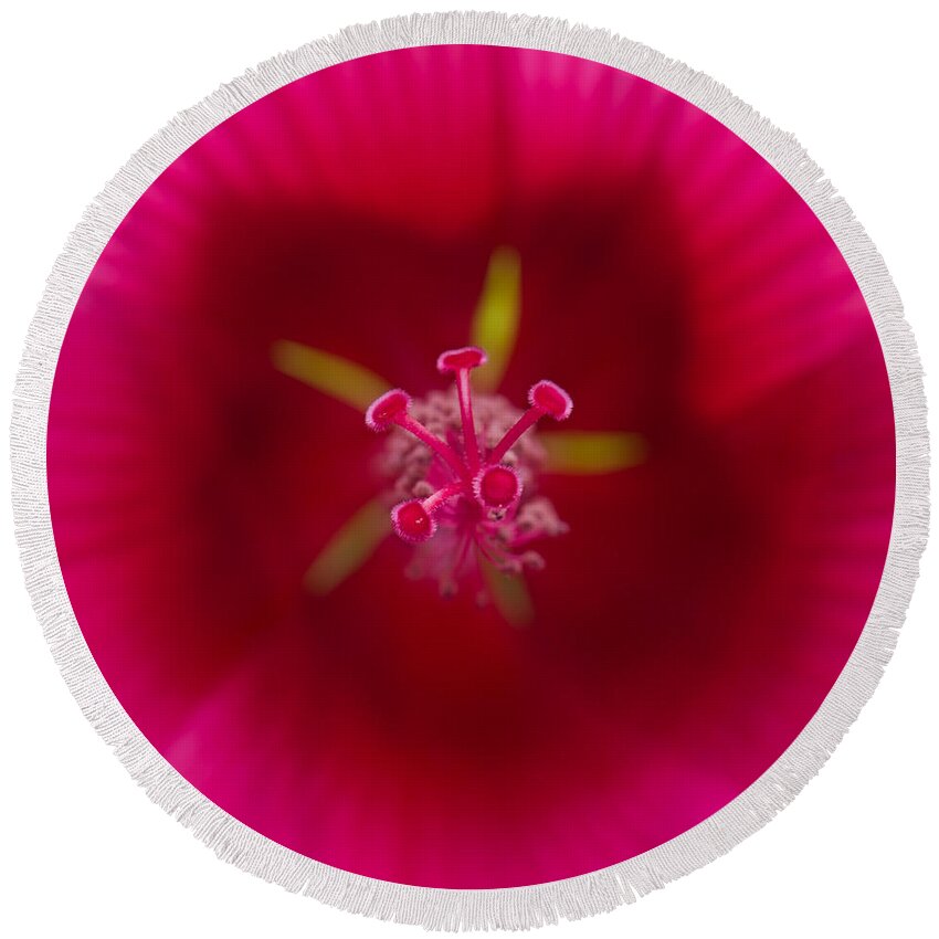 Red Round Beach Towel featuring the photograph Center of a Hibiscus by Jean-Pierre Ducondi