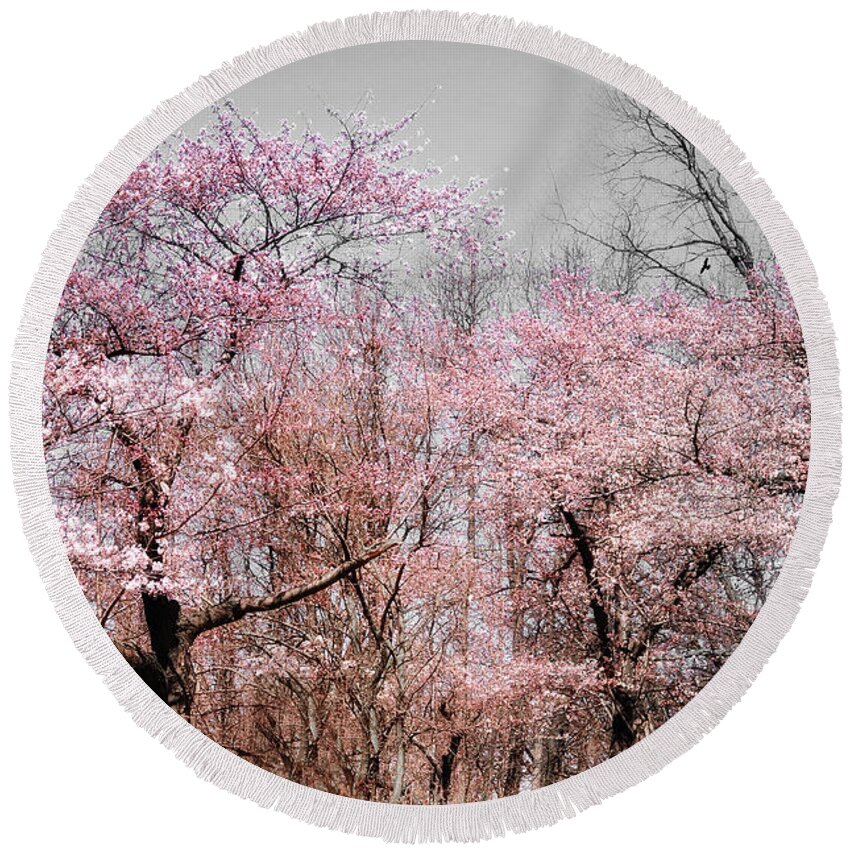Spring Round Beach Towel featuring the photograph Cherry Blossom Trees by Elaine Manley