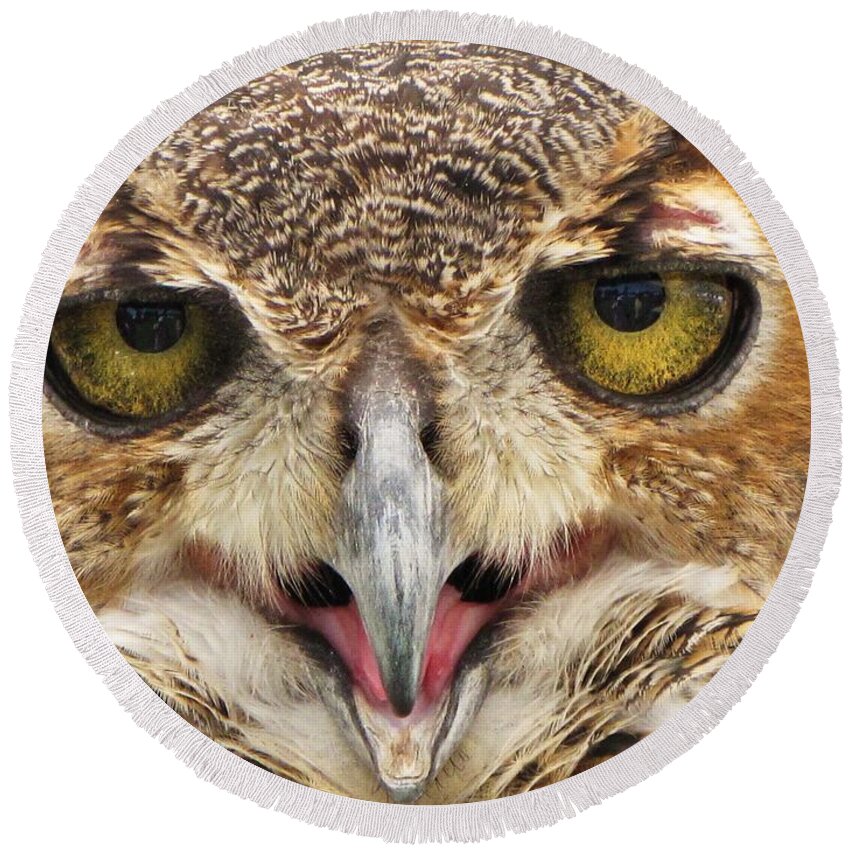Owl Round Beach Towel featuring the photograph Chief Horned Owl by Keri West