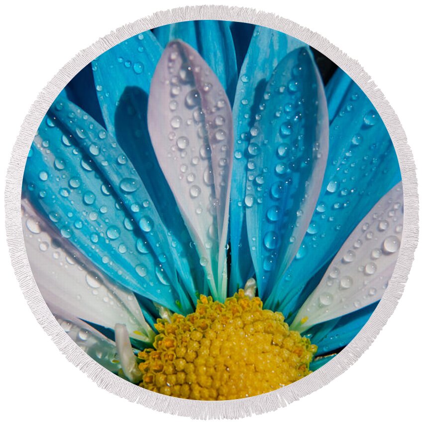 Photography Round Beach Towel featuring the photograph Chrysanthemum by Vanessa Thomas