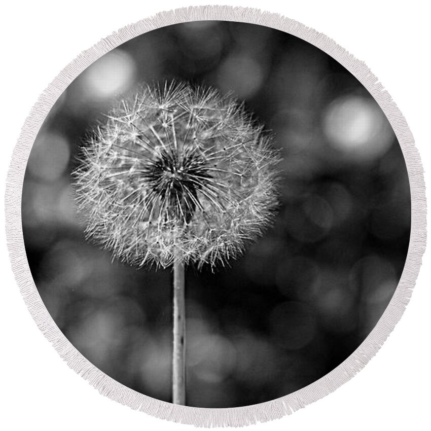 Dandelion Round Beach Towel featuring the photograph Circles of Life by Rona Black