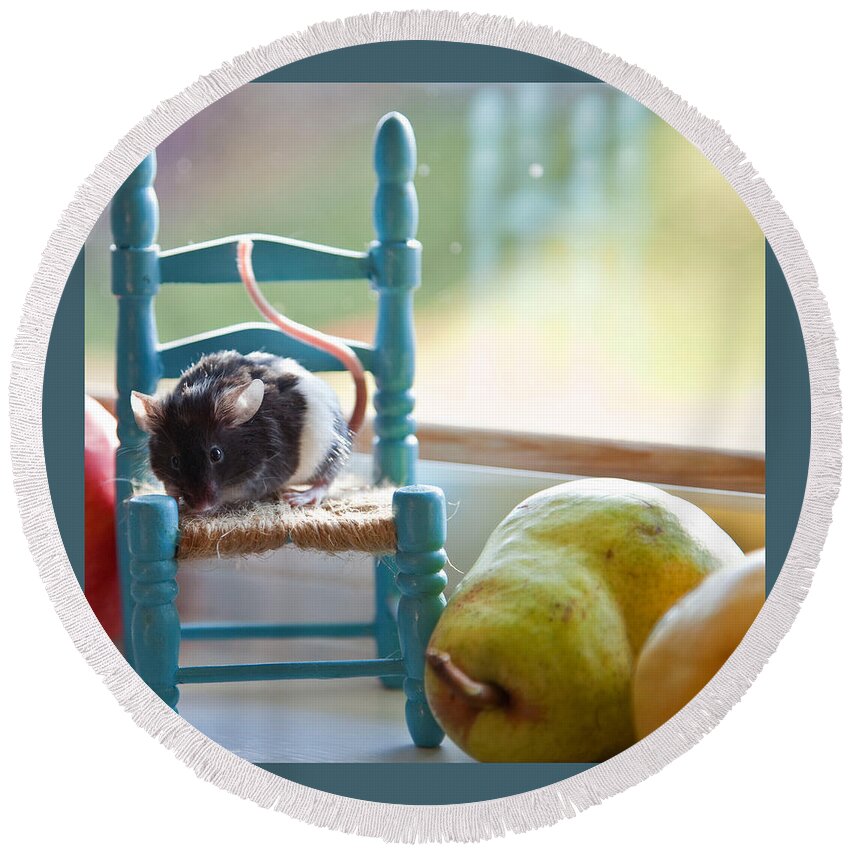 Mouse Round Beach Towel featuring the photograph Clara's Favorite Chair by Theresa Tahara