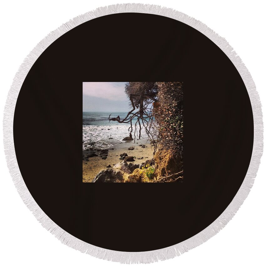 Elmatador Round Beach Towel featuring the photograph Cliff Roots by Katie Cupcakes