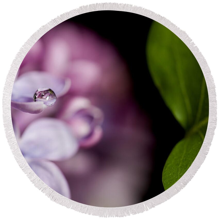 Growth Round Beach Towel featuring the photograph Close up Lilac by Mark Duffy