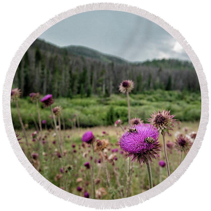 Spear Thistle Round Beach Towels