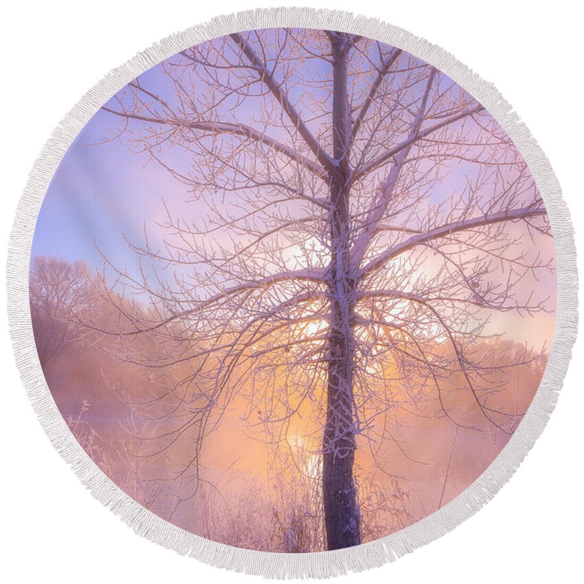 Fog Round Beach Towel featuring the photograph Cold Winter Morning by Darren White