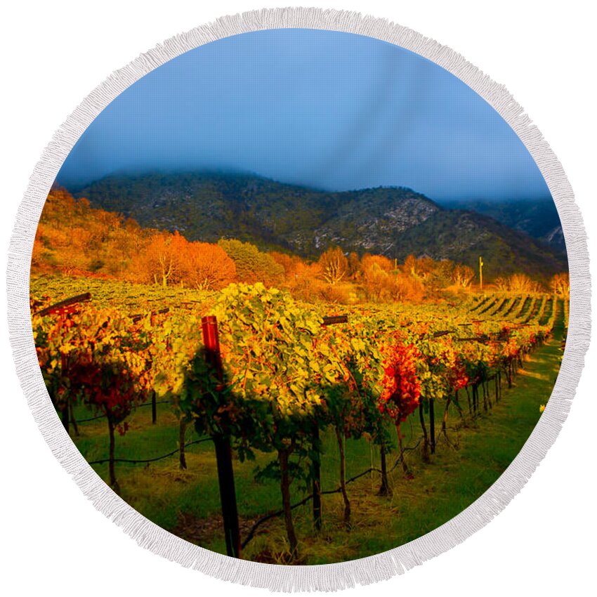 Colibri Vineyards Round Beach Towel featuring the photograph Colibri Morning by Kent Nancollas