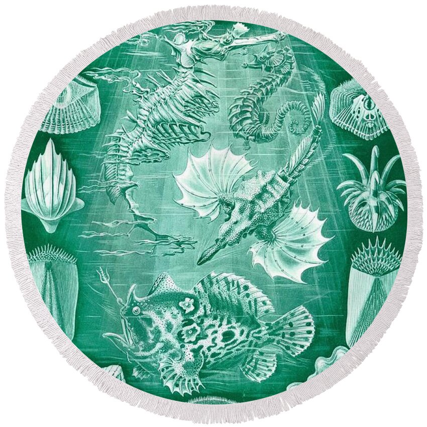 Taxonomy Round Beach Towel featuring the drawing Collection Of Teleostei by Ernst Haeckel