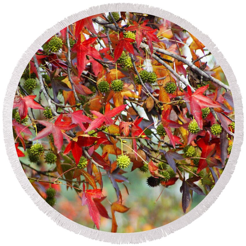 Autumn Round Beach Towel featuring the photograph Colored Leaves and Faery Maces by Diana Haronis