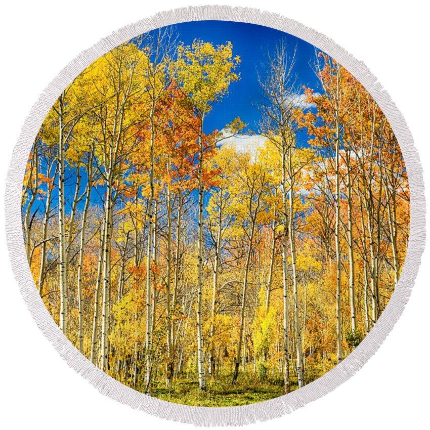 Aspen Round Beach Towel featuring the photograph Colorful Colorado Autumn Aspen Trees by James BO Insogna