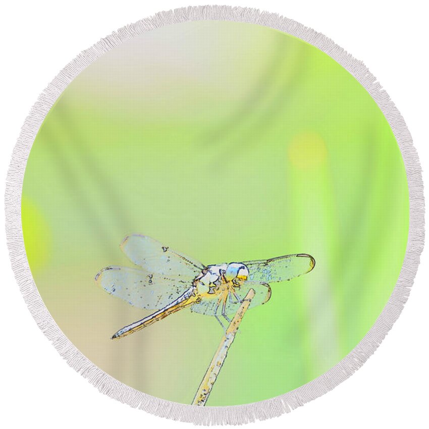 Insect Round Beach Towel featuring the photograph Colorful Dragonfly by Donna Brown
