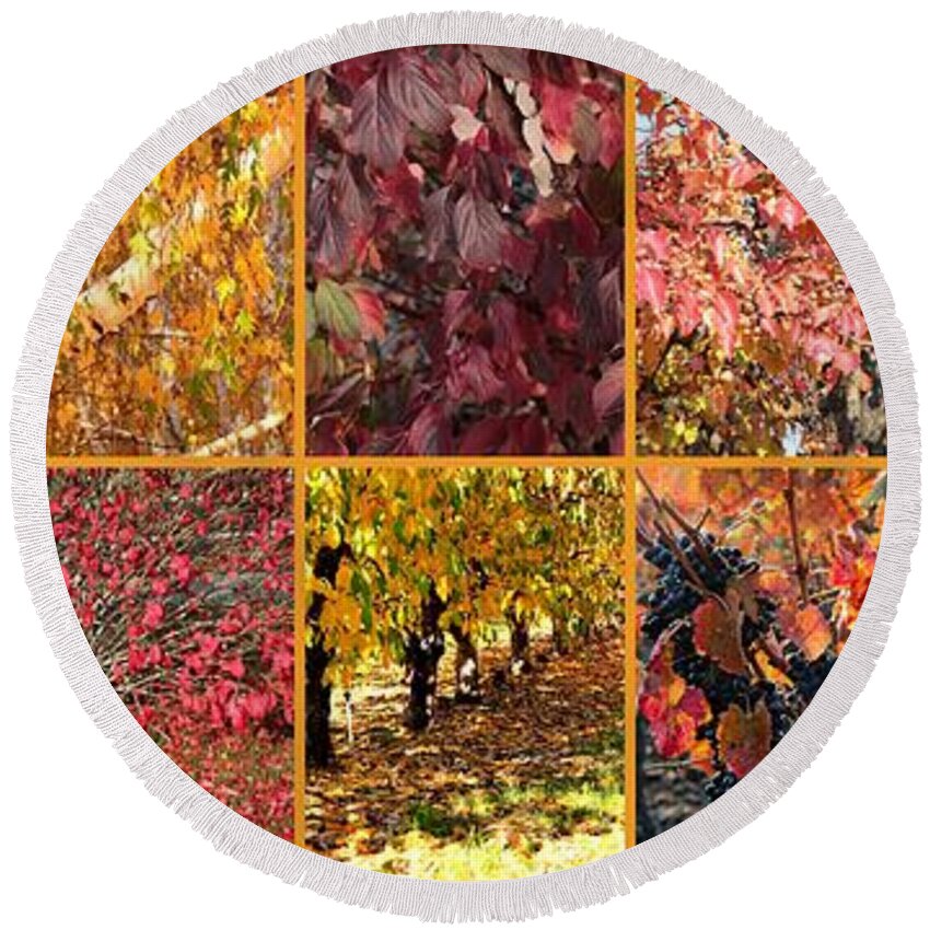 Colors Of Autumn Collage Round Beach Towel featuring the photograph Colors of Autumn Collage by Carol Groenen