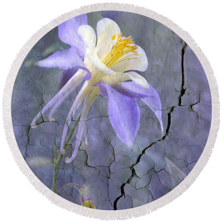 Wall Photography. Round Beach Towel featuring the photograph Columbine on Cracked wall by James Steele
