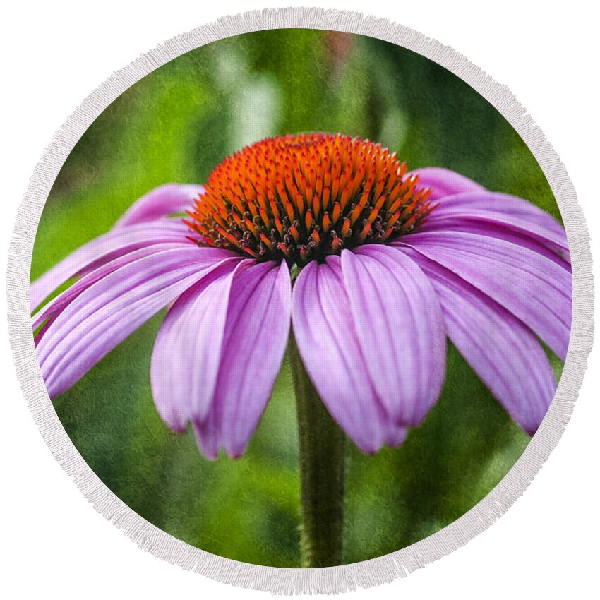 Flower Round Beach Towel featuring the photograph Cone Flower by Cathy Kovarik