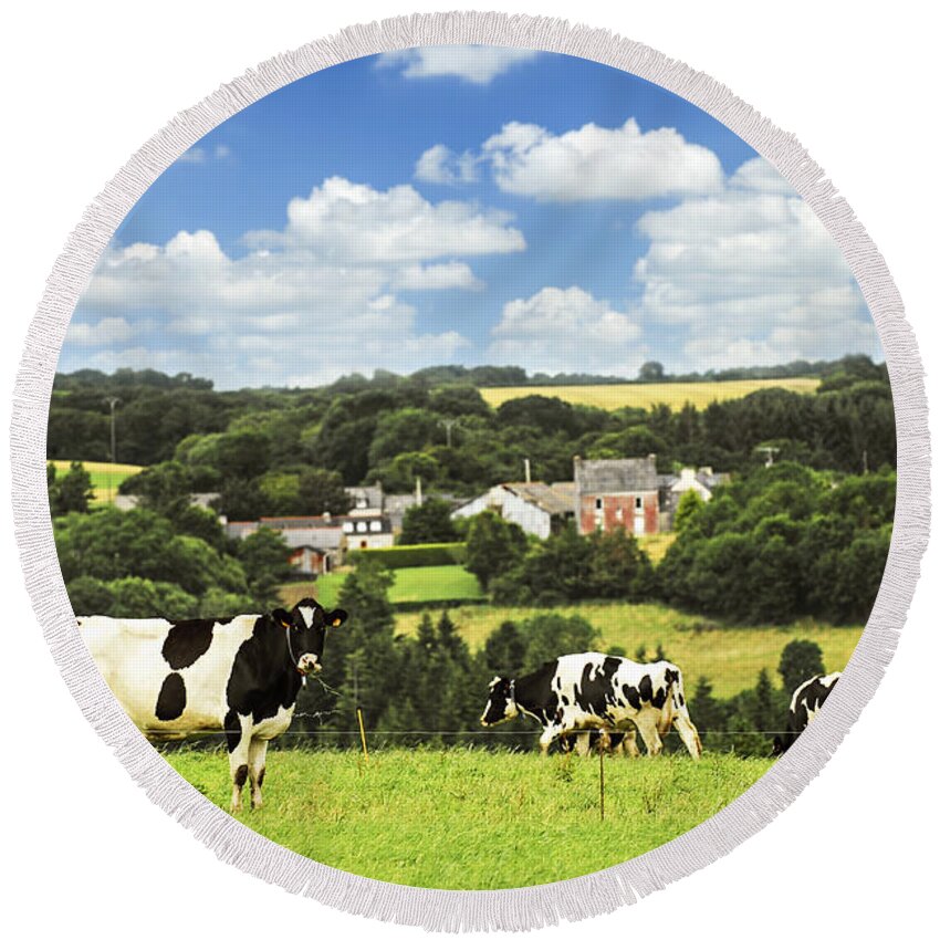 Cow Round Beach Towel featuring the photograph Cows in a pasture in Brittany by Elena Elisseeva