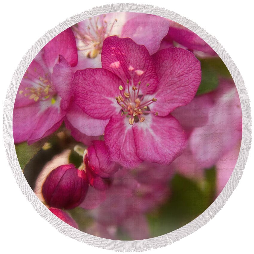 Jemmy Archer Round Beach Towel featuring the photograph Crabtree Blossoms by Jemmy Archer