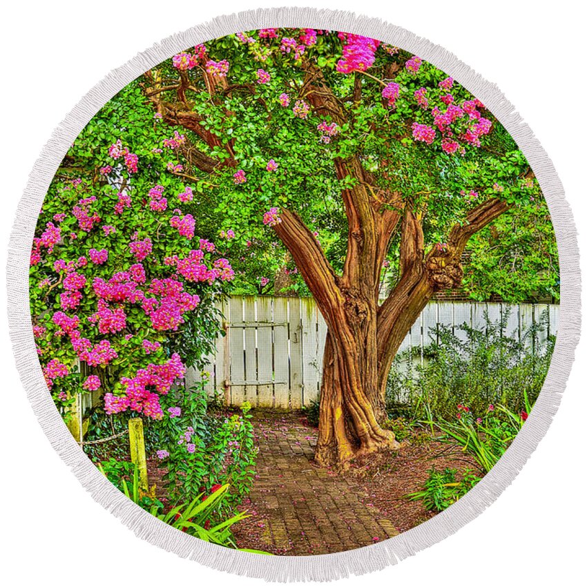 Crepe Myrtle Round Beach Towel featuring the photograph Crepe Myrtle in Wiliamsburg Garden by Jerry Gammon