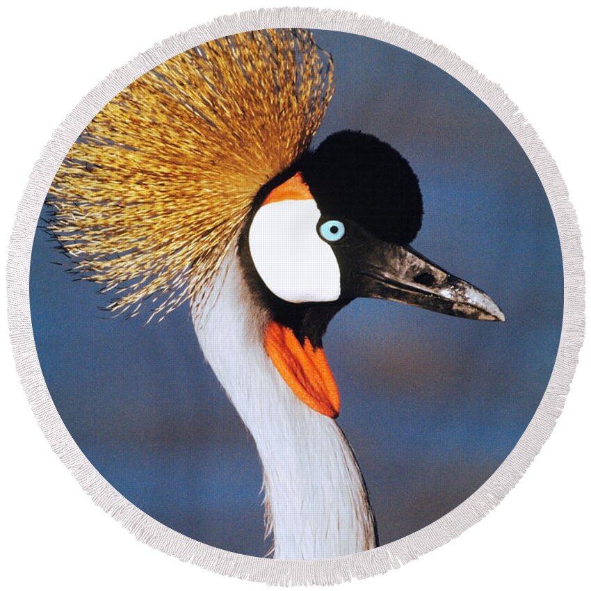 Photography Round Beach Towel featuring the photograph Crowned Crane Tanzania Africa by Panoramic Images