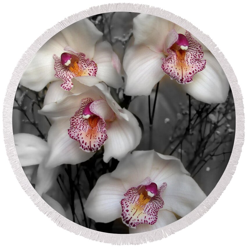 Flowers Round Beach Towel featuring the photograph Cymbidium Orchid White I Still Life Flower Art Poster by Lily Malor