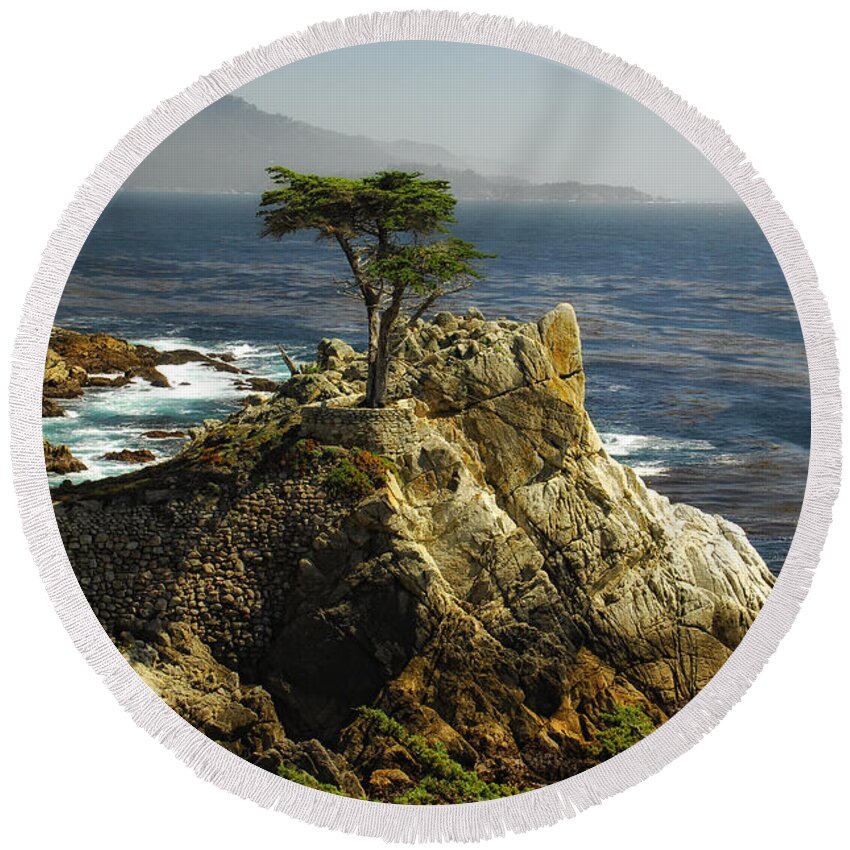 Cypress Tree Round Beach Towel featuring the photograph Cypress by Donna Blackhall