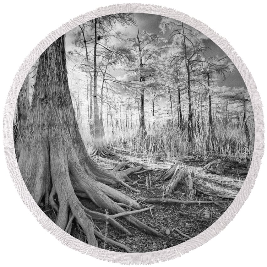 Big Round Beach Towel featuring the photograph Cypress Roots In Big Cypress by Bradley R Youngberg