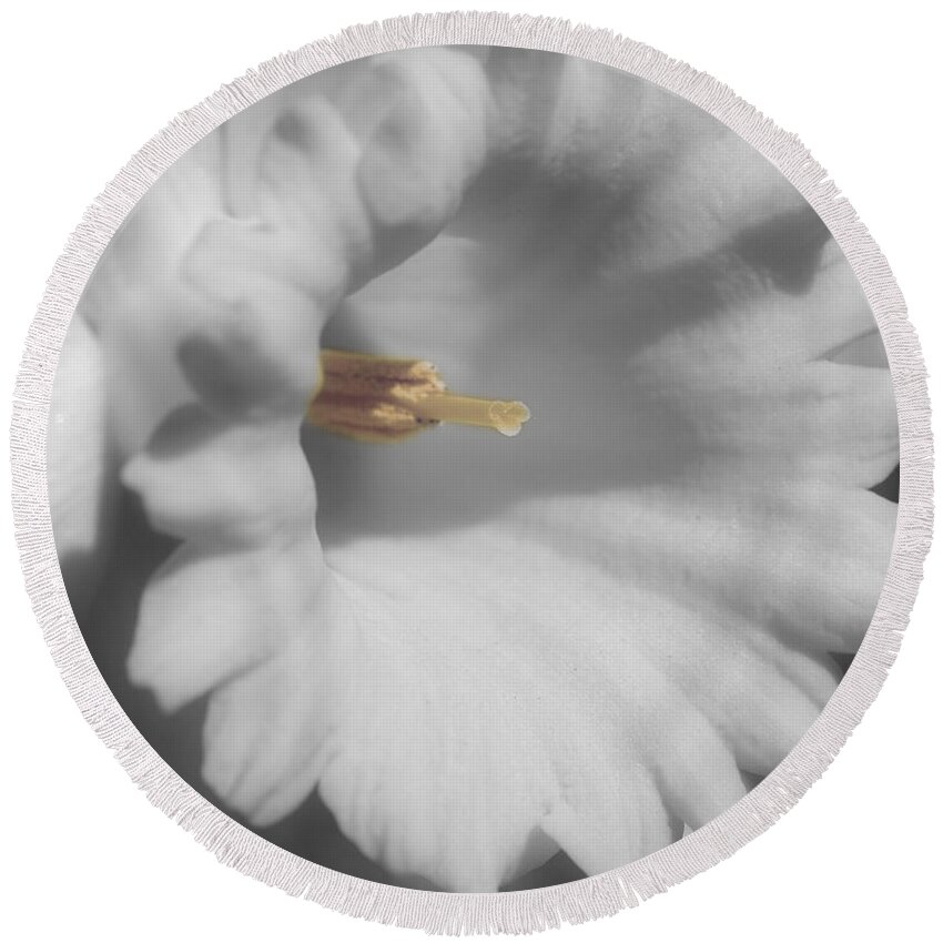 Daffodil Round Beach Towel featuring the photograph Daffodil In Black And White by Smilin Eyes Treasures