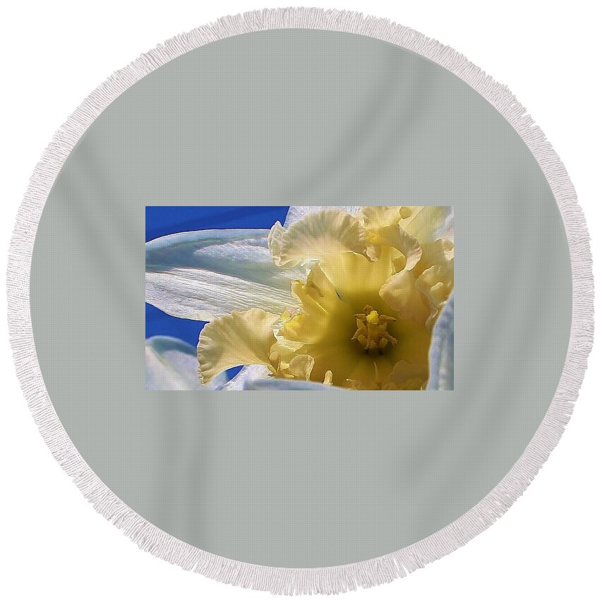 Flora Round Beach Towel featuring the photograph Daffodil in the Sun by Bruce Bley