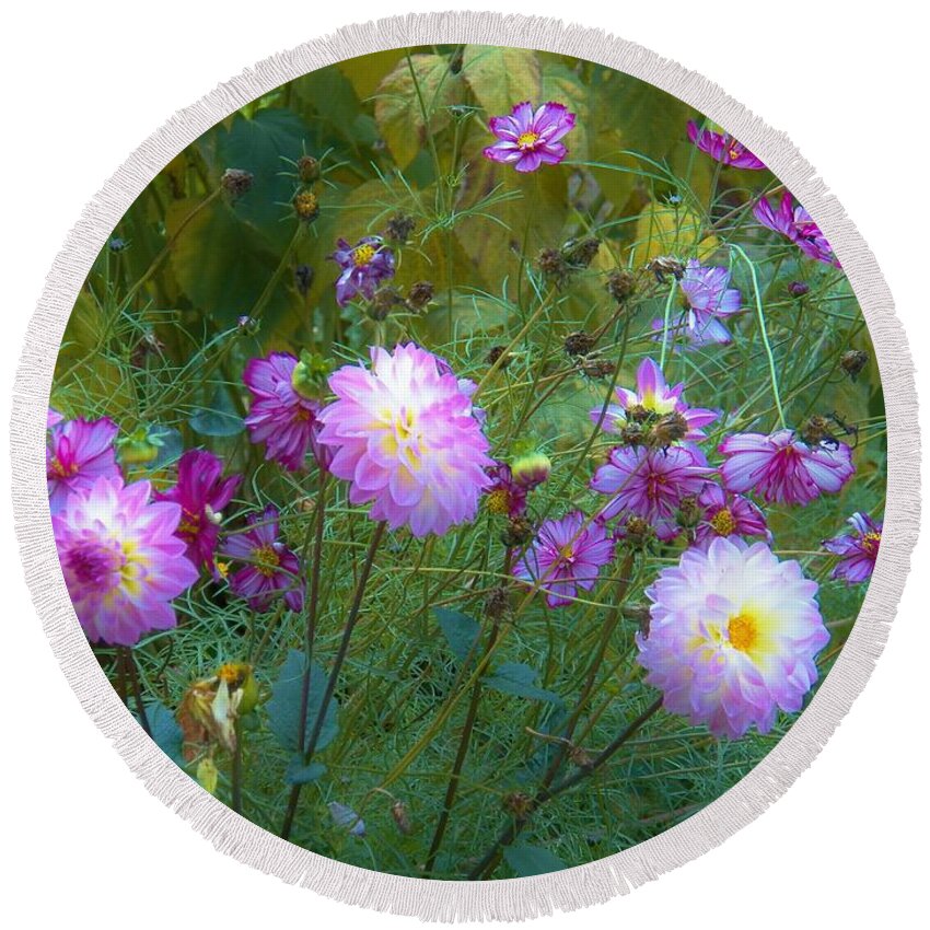 Dalia Round Beach Towel featuring the photograph Dahlias and Cosmos by Judy Via-Wolff