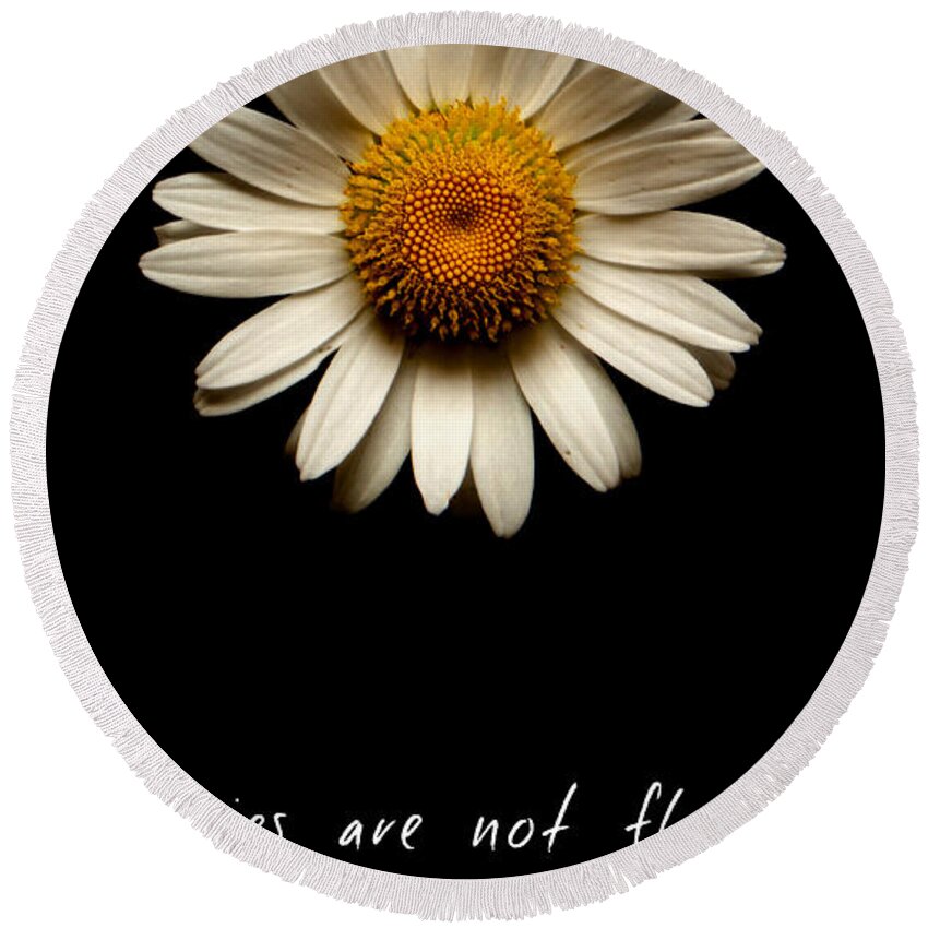 Daisies Are Not Flowers Round Beach Towel featuring the photograph Daisies are not flowers by Weston Westmoreland