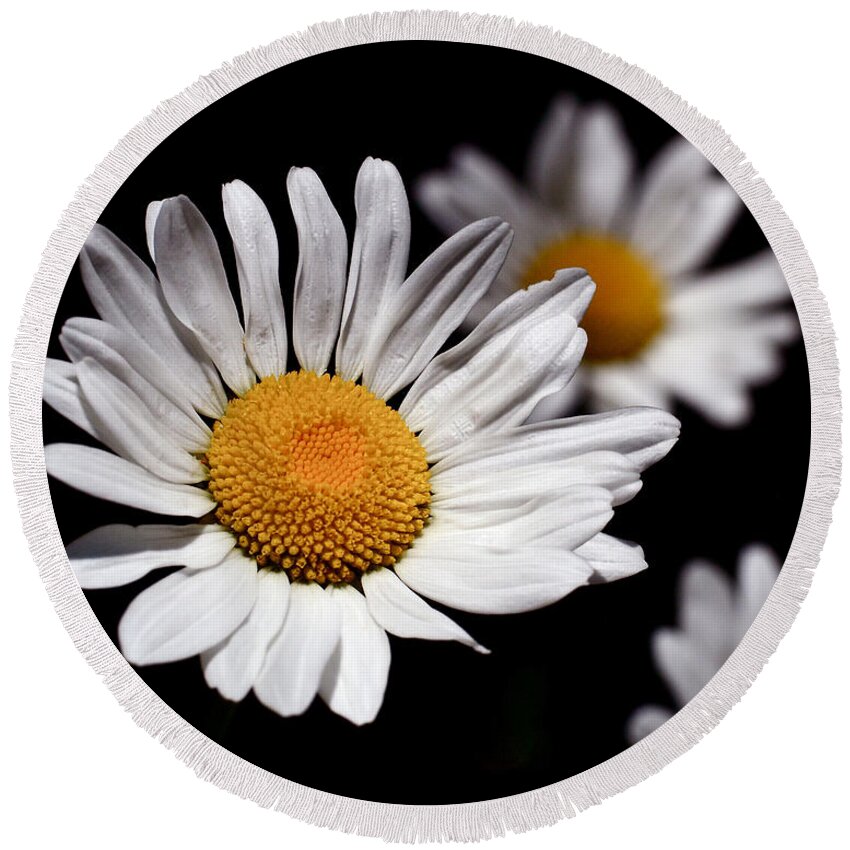 Daisies Round Beach Towel featuring the photograph Daisies by Rona Black