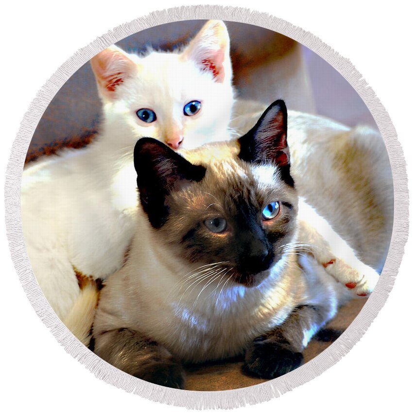 Blue Round Beach Towel featuring the photograph Daisy and Leo by Linda Cox