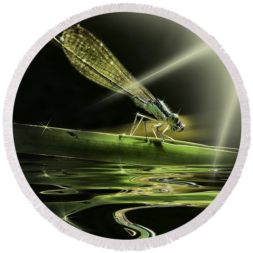 Dragon Fly With Sparkling Reflections Round Beach Towel featuring the photograph Damsel Dragon fly with sparkling reflection by Peter V Quenter