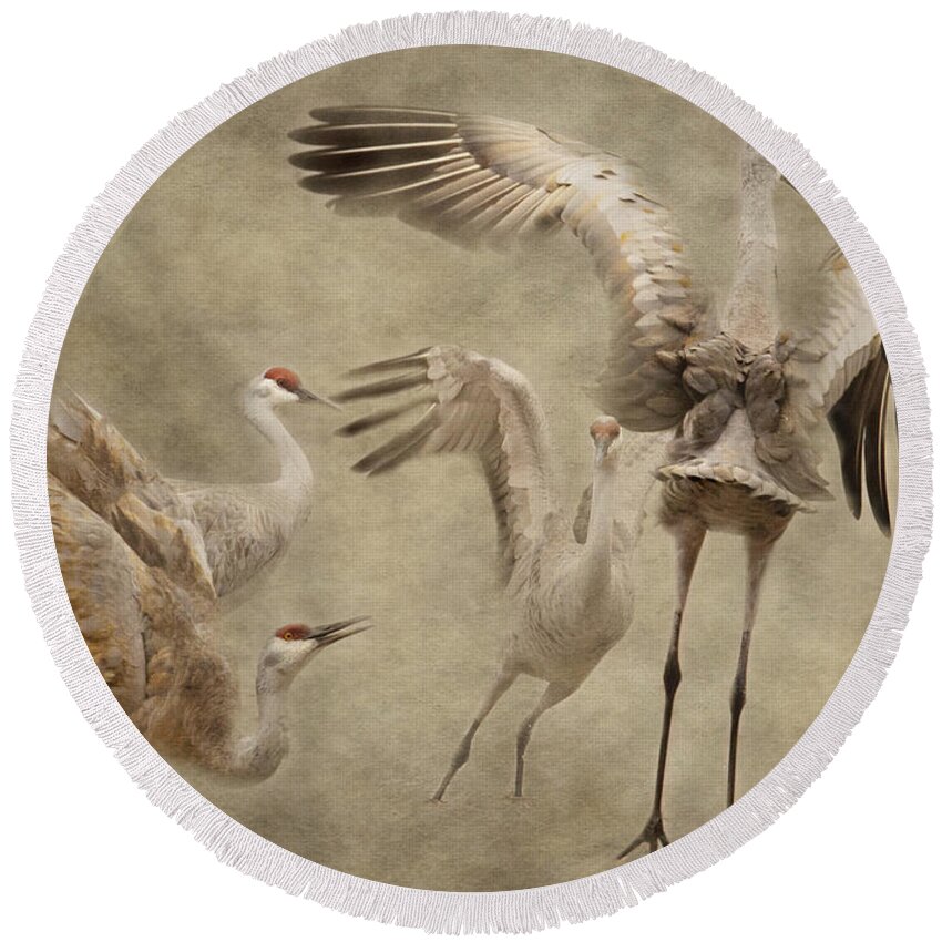 Sandhill Crane Round Beach Towel featuring the photograph Dance of the Sandhill Crane by Pam Holdsworth