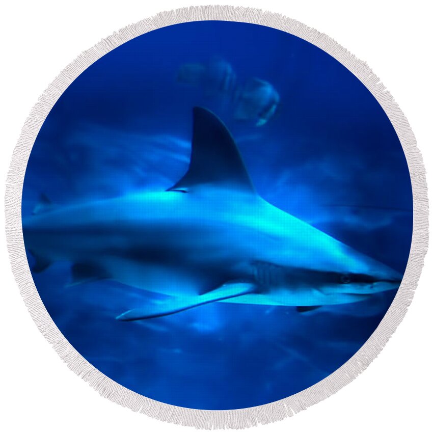 Shark Round Beach Towel featuring the photograph Dangerous Beauty by Mark Andrew Thomas