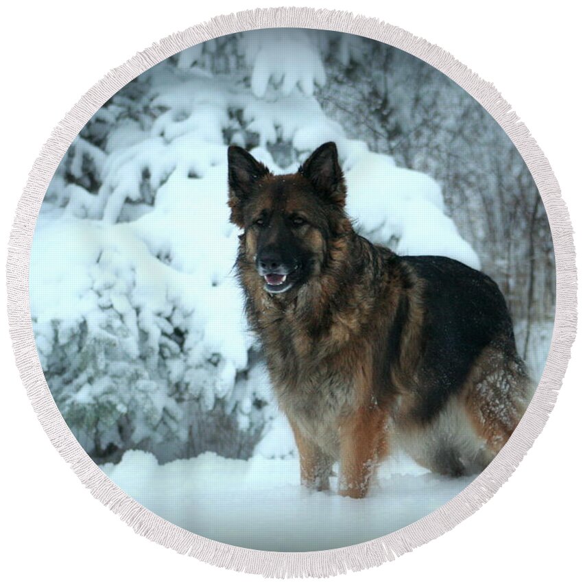 German Shepherd Dog Round Beach Towel featuring the photograph Dawn's First Light by Sue Long