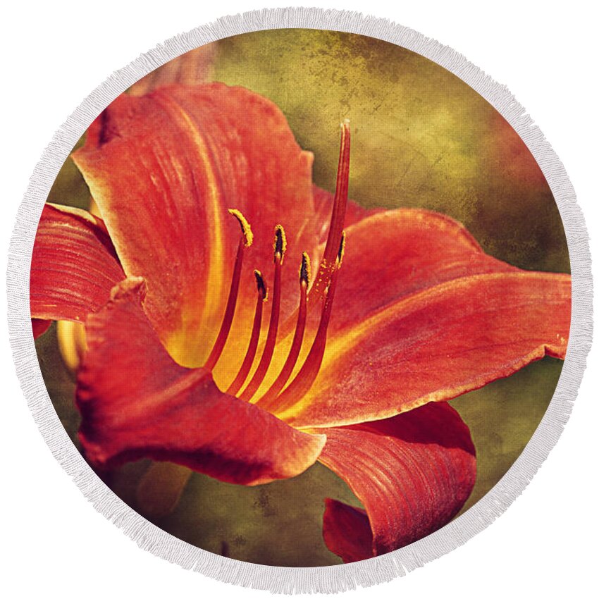 Summer Round Beach Towel featuring the photograph Daylily by Maria Angelica Maira